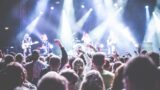 Soundreef o SIAE per un autore emergente? Come scegliere la collecting che cresce con te
